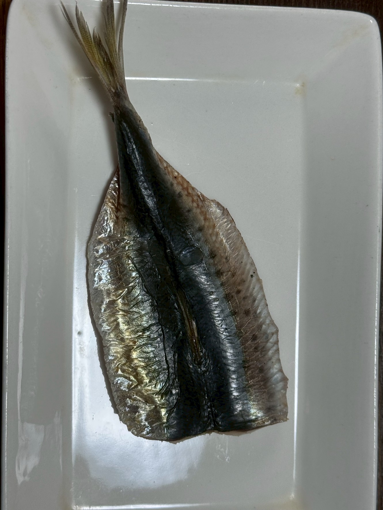 【魚を本当に知る人だけが語る】イワシを馬鹿にするな！“安魚”と言われるのは完全に誤解です。釣太郎