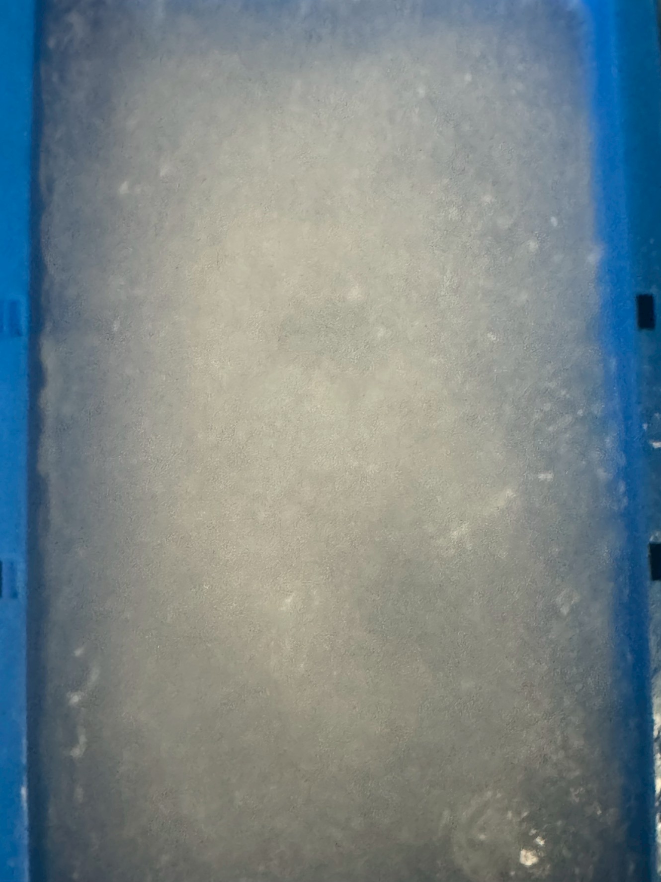 【猛暑対策の新定番】釣太郎名物「海水氷」が釣り人に選ばれる理由 ～魚を芯まで冷やす！真水氷とは違う“本物の冷却力”～