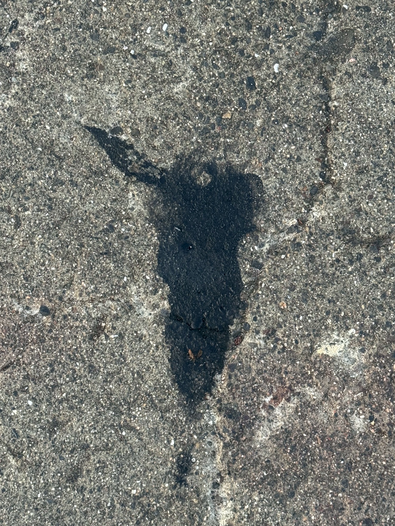 アオリイカ釣れた形跡あり。7月23日水曜日和歌山みなべ町堺森の鼻堤防。釣太郎