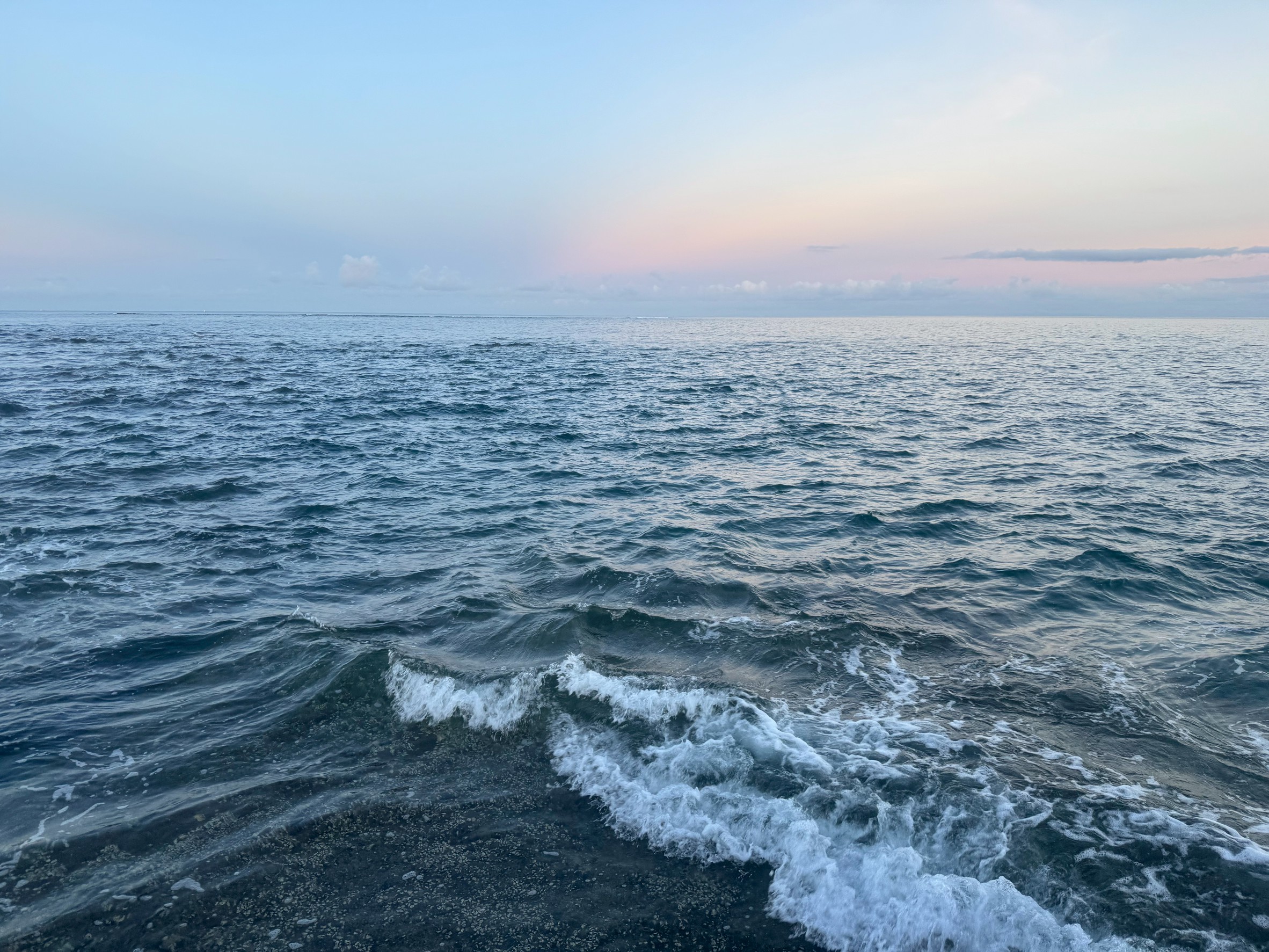 海は生き物か？—科学と感性で紐解く壮大な生命体。釣太郎