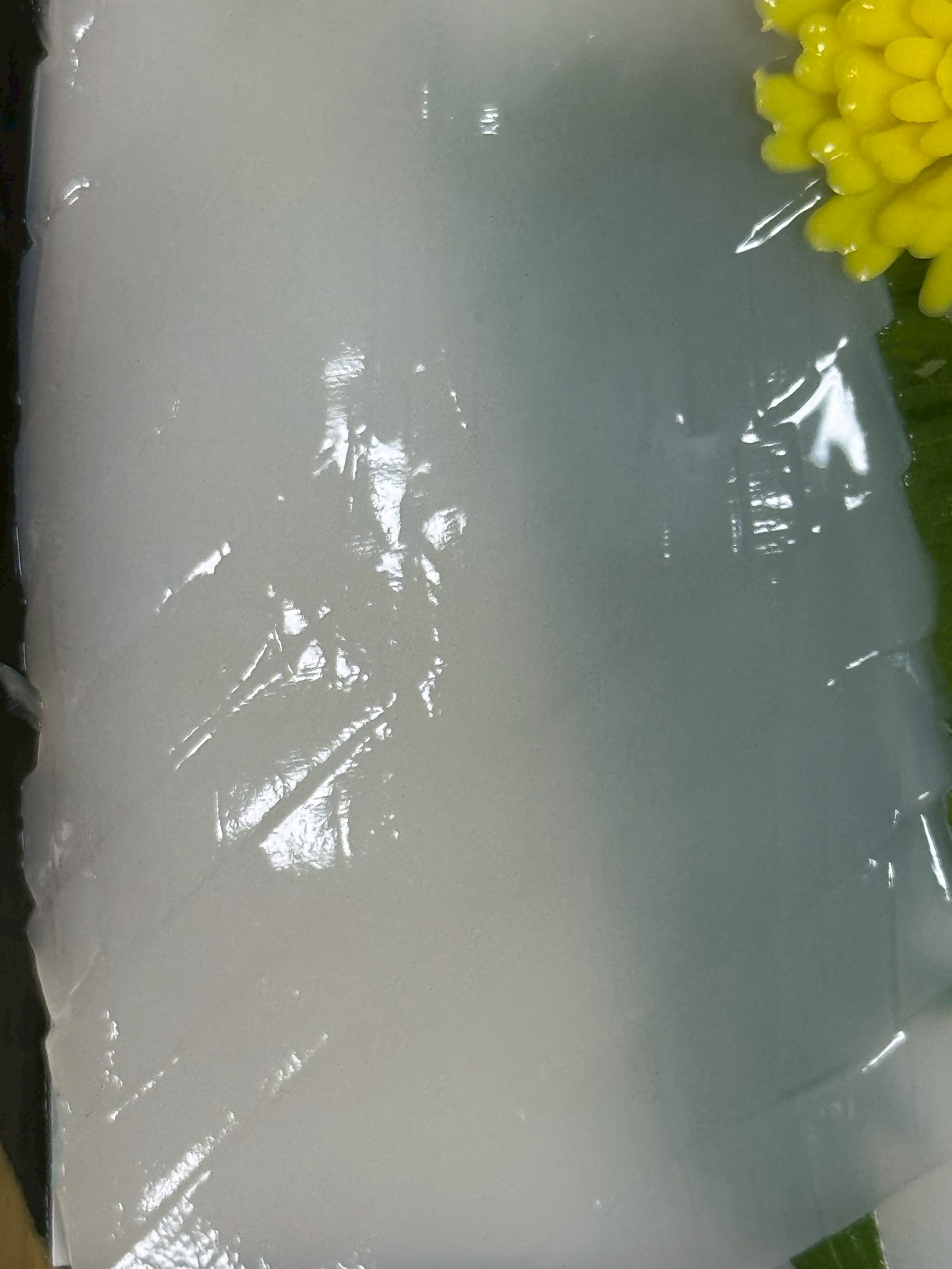 アカイカ(ケンサキイカ)の旨さはアオリイカ超え!?
AIが解き明かす、隠れたイカ界の王者の魅力。釣太郎