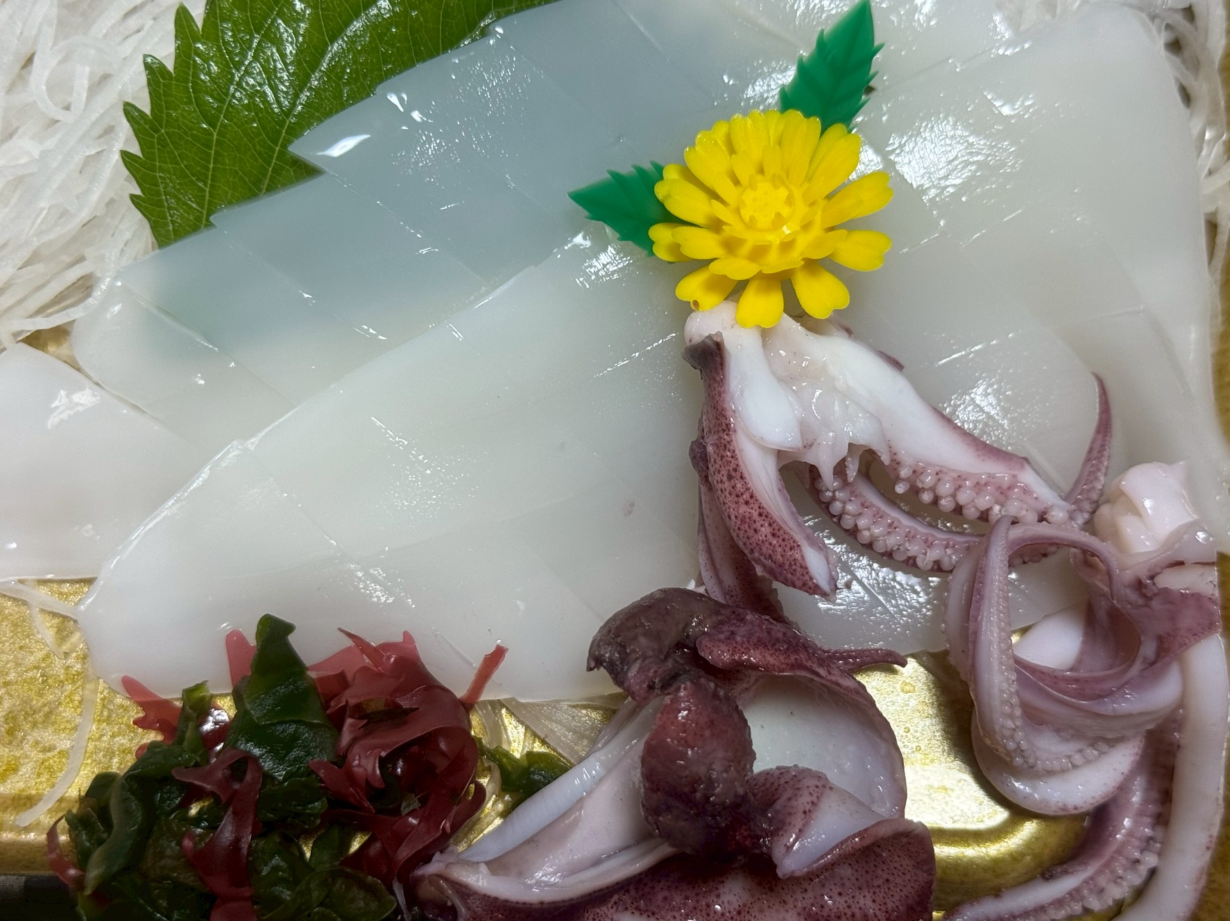 真の“イカの王様”はアカイカ（ケンサキイカ）だった！釣太郎