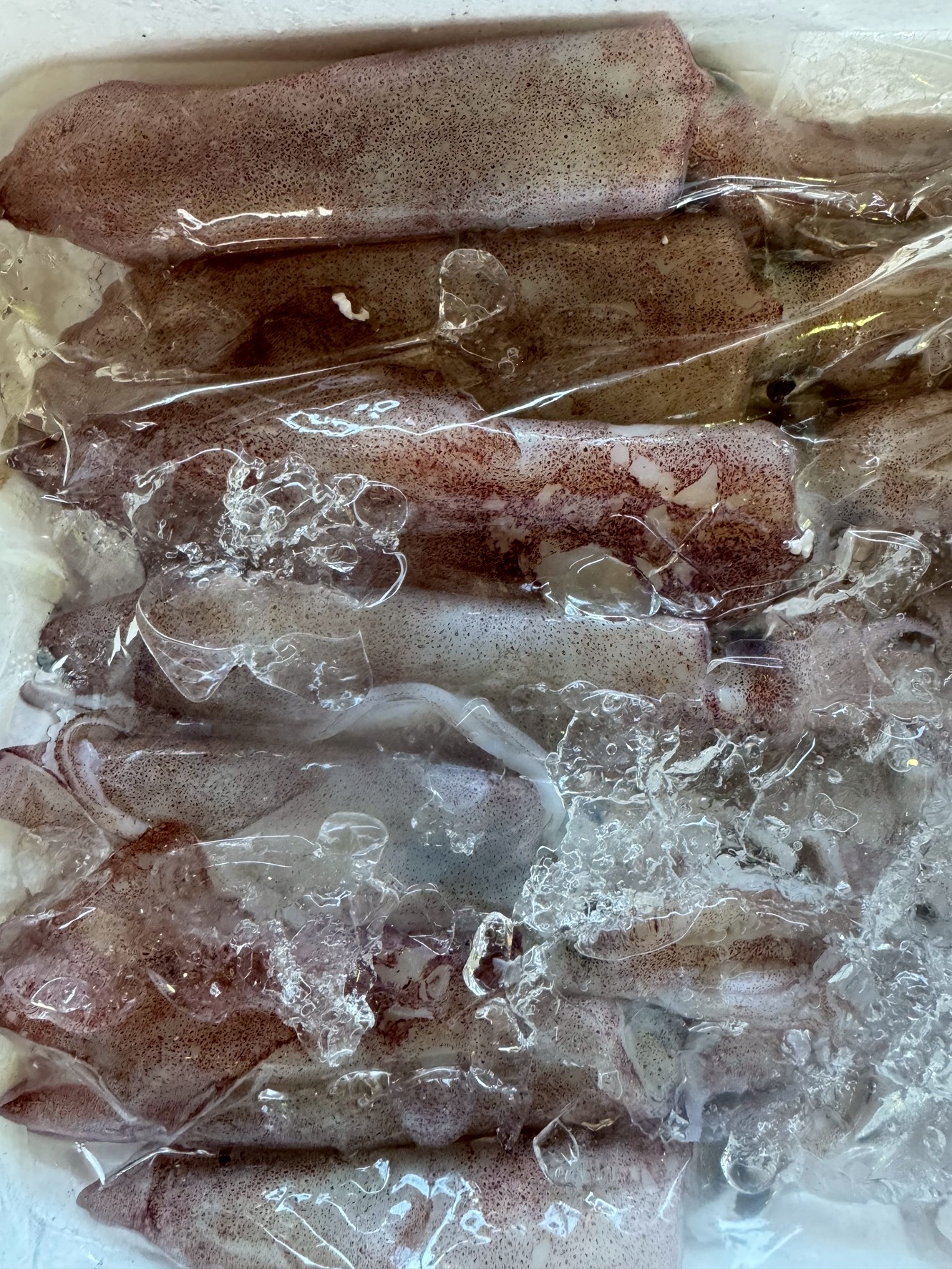 ケンサキイカ(アカイカ)は夏が本当の食べごろですが、冷凍技術・漁場の分散・業務需要の安定化により、一年中味わうことが可能です。釣太郎