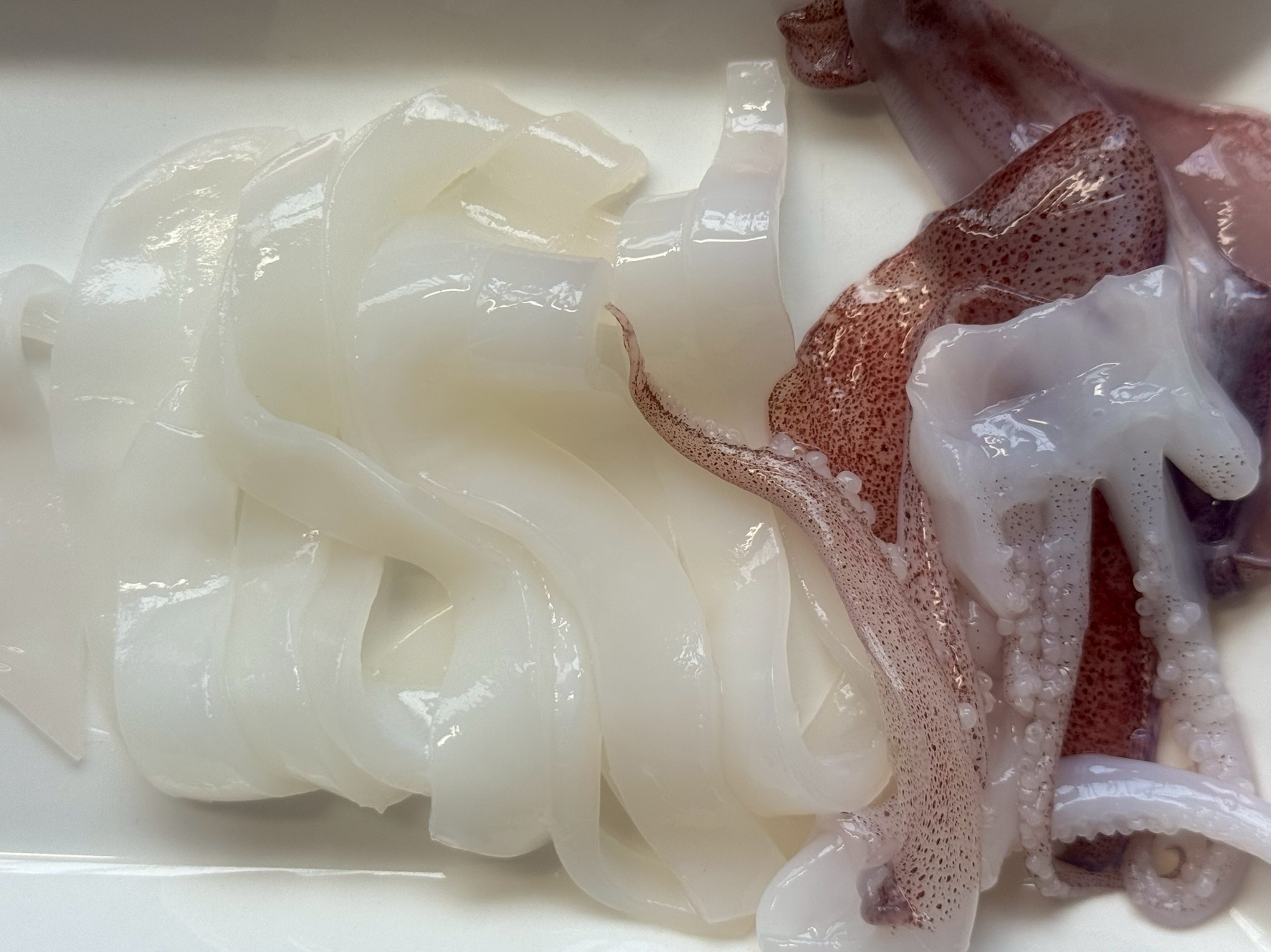 【涙するほど旨い】ケンサキイカ(アカイカ)はなぜ“イカ類最強”の美味しさなのか?科学的に徹底解説!釣太郎