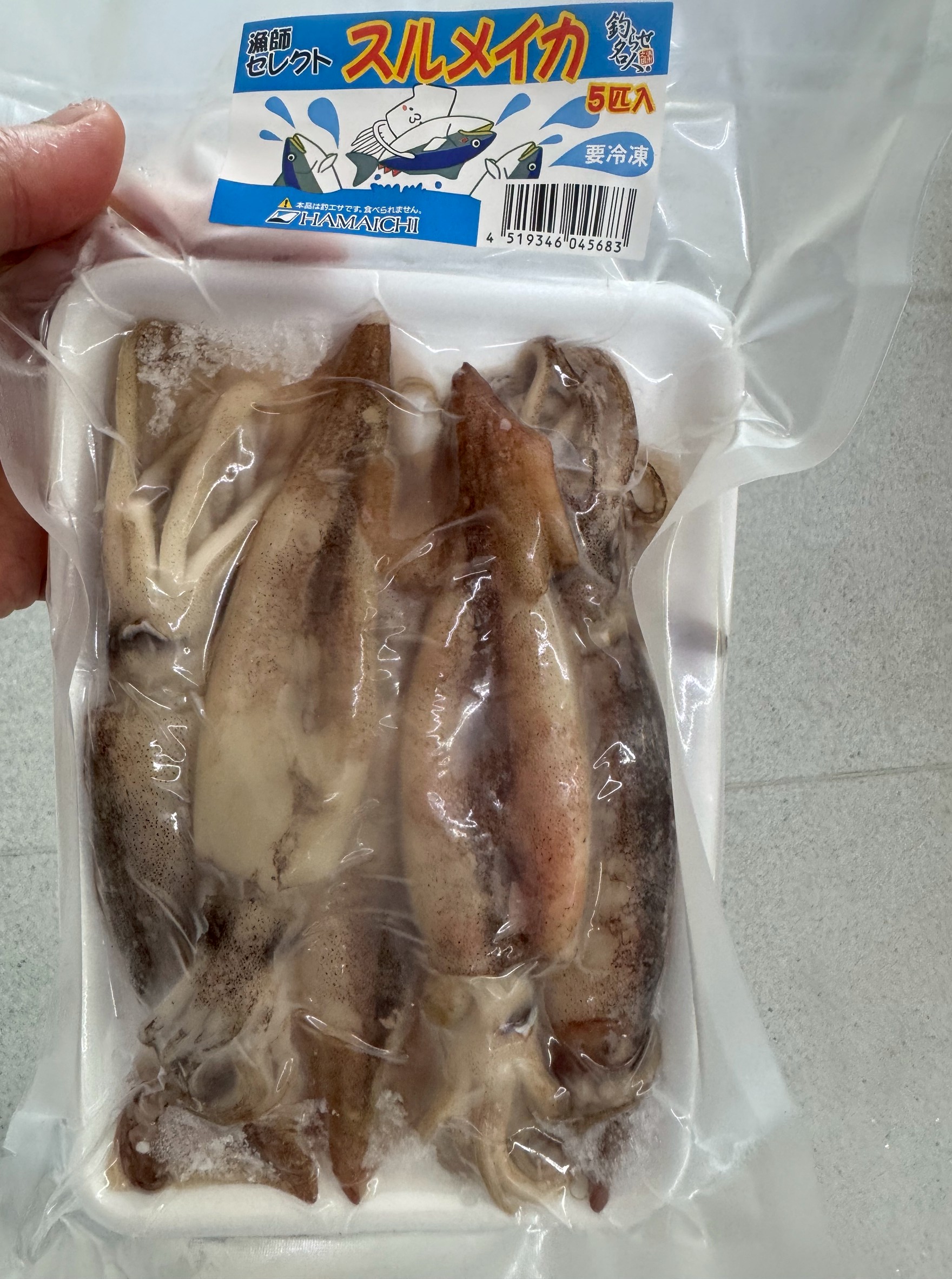 【釣りエサにも!調理にも!】冷凍スルメイカ5匹入りパックの魅力を徹底紹介!釣太郎