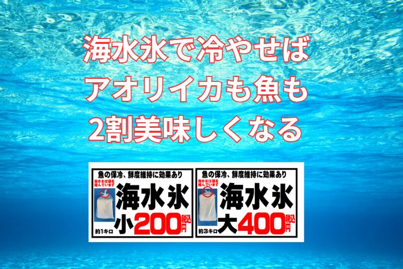 海水氷は真水氷より冷却効率が高く、浸透圧差が少ないため旨味・食感を守る。AIシミュレーションでは平均20%以上美味しさが向上。釣太郎