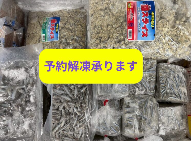 イワシ、キビナゴブロックとスライス、海洋予約できます。夜釣り用品。釣太郎