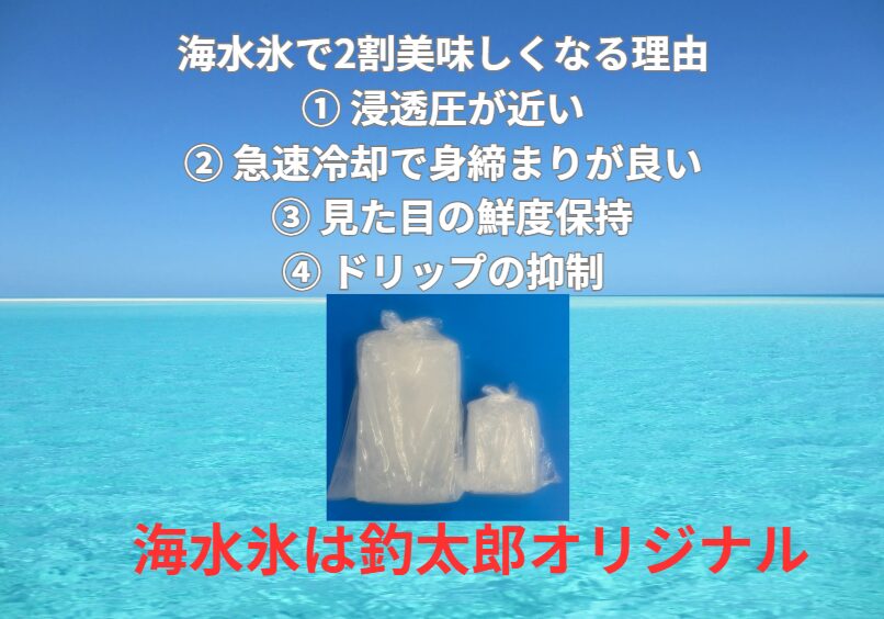 釣った魚やアオリイカを冷やすとき、海水氷 → 浸透圧が安定・急速冷却・旨味保持で2割美味しい。釣太郎