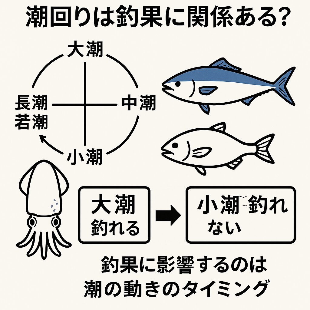 釣果を左右するのは ポイント選び・時間帯・潮の動きのタイミング であり、潮回りはその補助的な目安に過ぎません。釣太郎