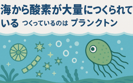 地球の酸素の50〜70%は海から生まれている・その主役は目に見えない植物プランクトン。釣太郎
