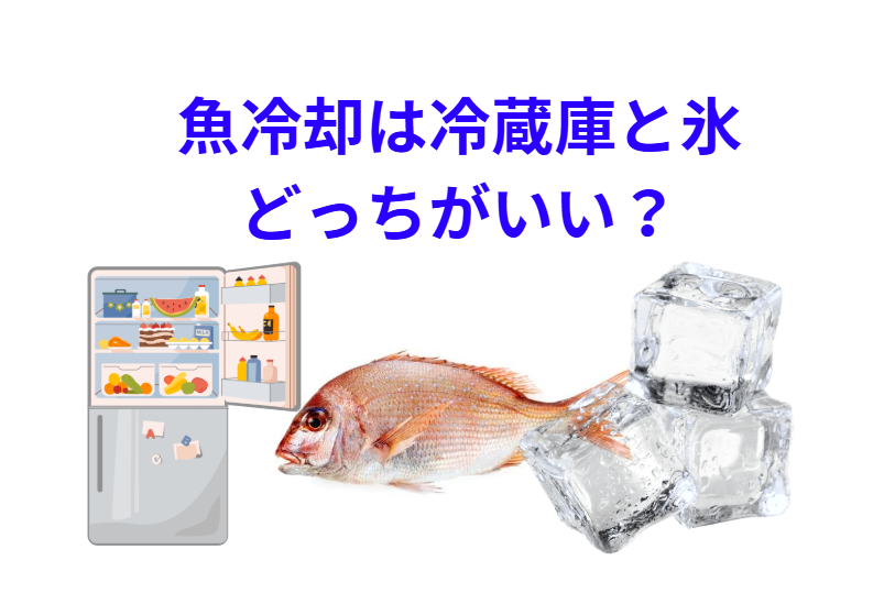 魚の鮮度は「いかに早く冷やすか」で決まる。スピード重視なら「氷」、温度管理のしやすさなら「冷蔵庫」。釣太郎