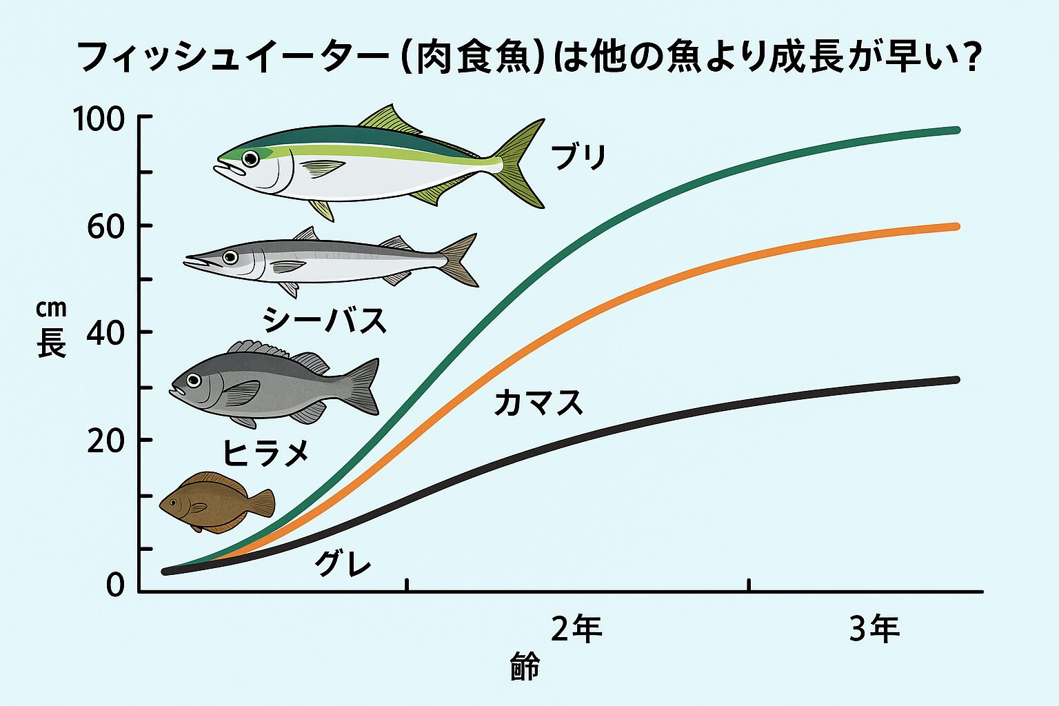 フィッシュイーター(肉食魚)はプランクトン食魚より成長が早い。理由は「高カロリーなエサ」「運動量」「生存競争の戦略」釣太郎