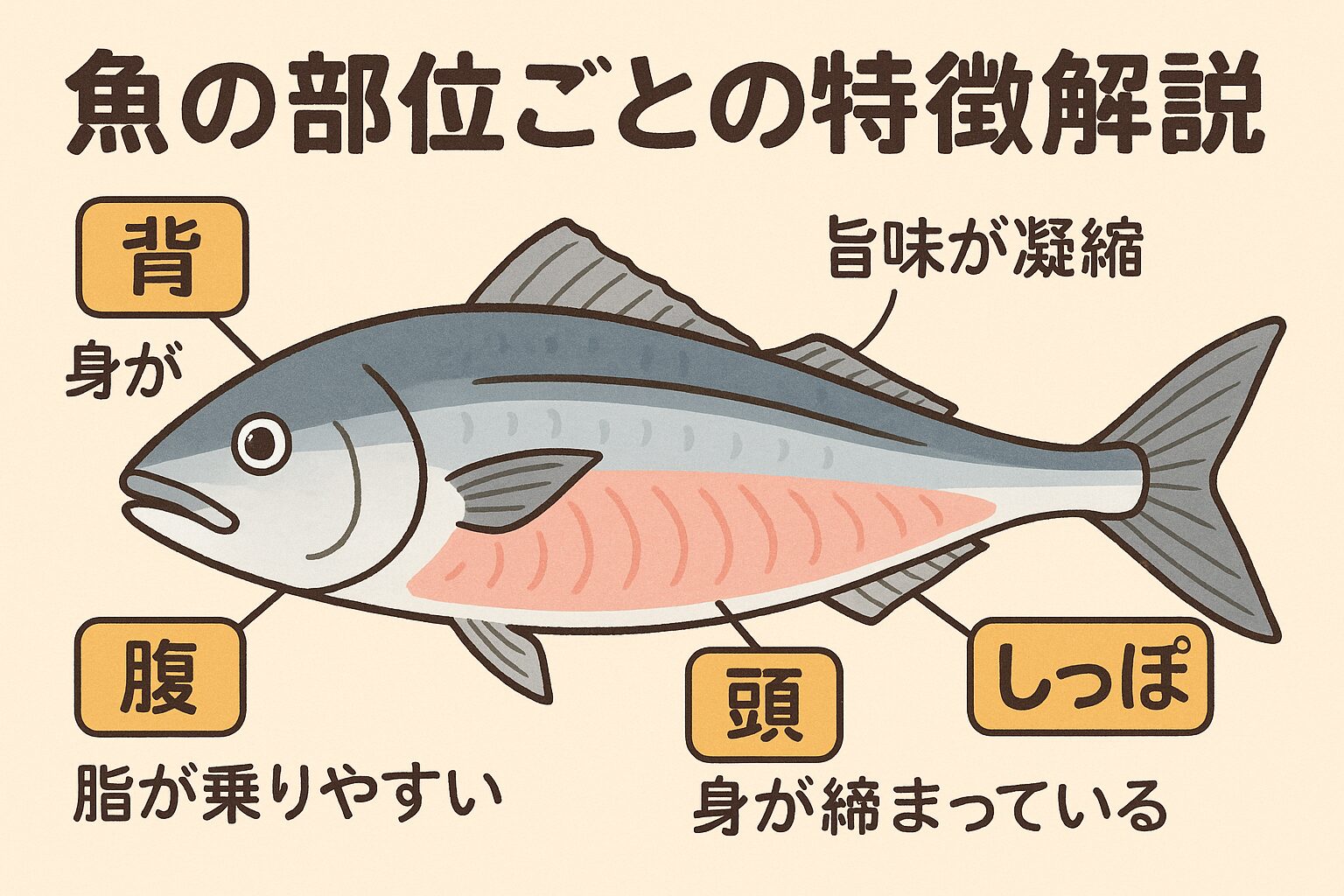 魚の部位ごとに、味わいや食感は大きく異なります。・背=さっぱりと上品・腹=濃厚で脂の旨味・頭=旨味が凝縮・しっぽ=引き締まった食感。釣太郎