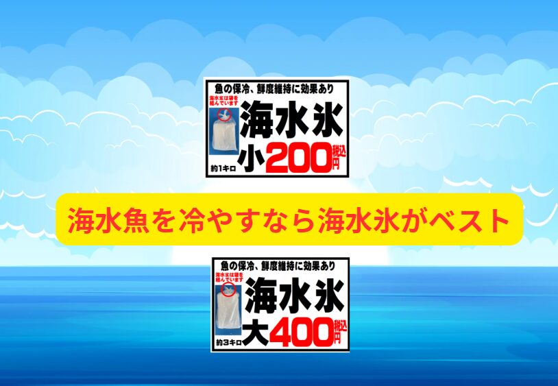 海水魚を冷やすなら、普通氷より「海水氷」がベストな理由
〜釣り人と鮮魚のプロが選ぶ最強の冷却方法〜。釣太郎