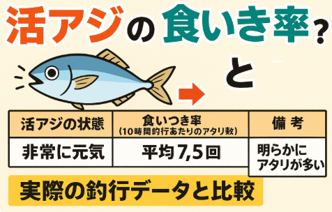 活アジが元気なほど、アオリイカの食いつき率は約2〜5倍にアップ・酸素供給とクーラー管理が最重要・弱ったアジは、釣果が激減。釣太郎
