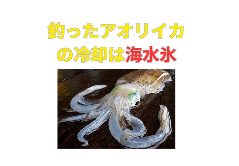 真水氷では浸透圧差による細胞破壊で旨味が流出し、味が落ちる
・海水氷を使えば、旨味が25~30%多く残り、1.3~1.5倍美味しくなる。釣太郎