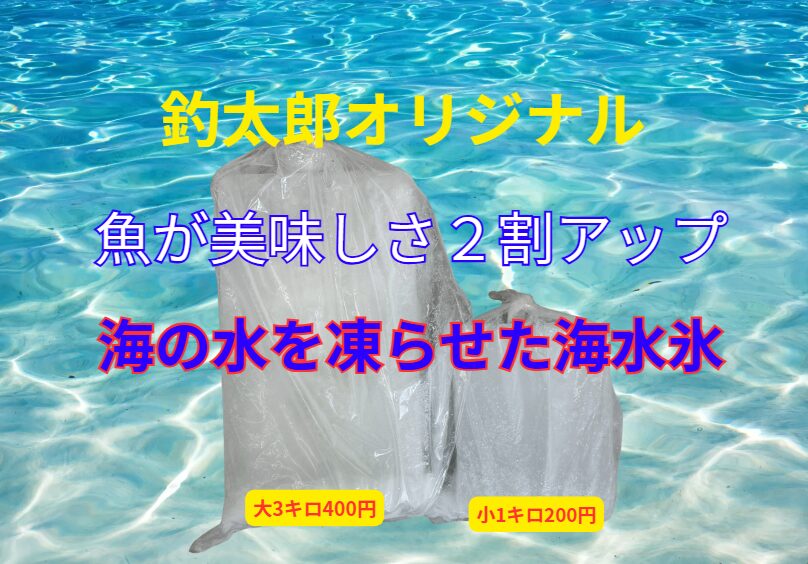 海の水で作った海水氷は真水氷と違い「魚がふやけない・旨味が逃げない」釣太郎