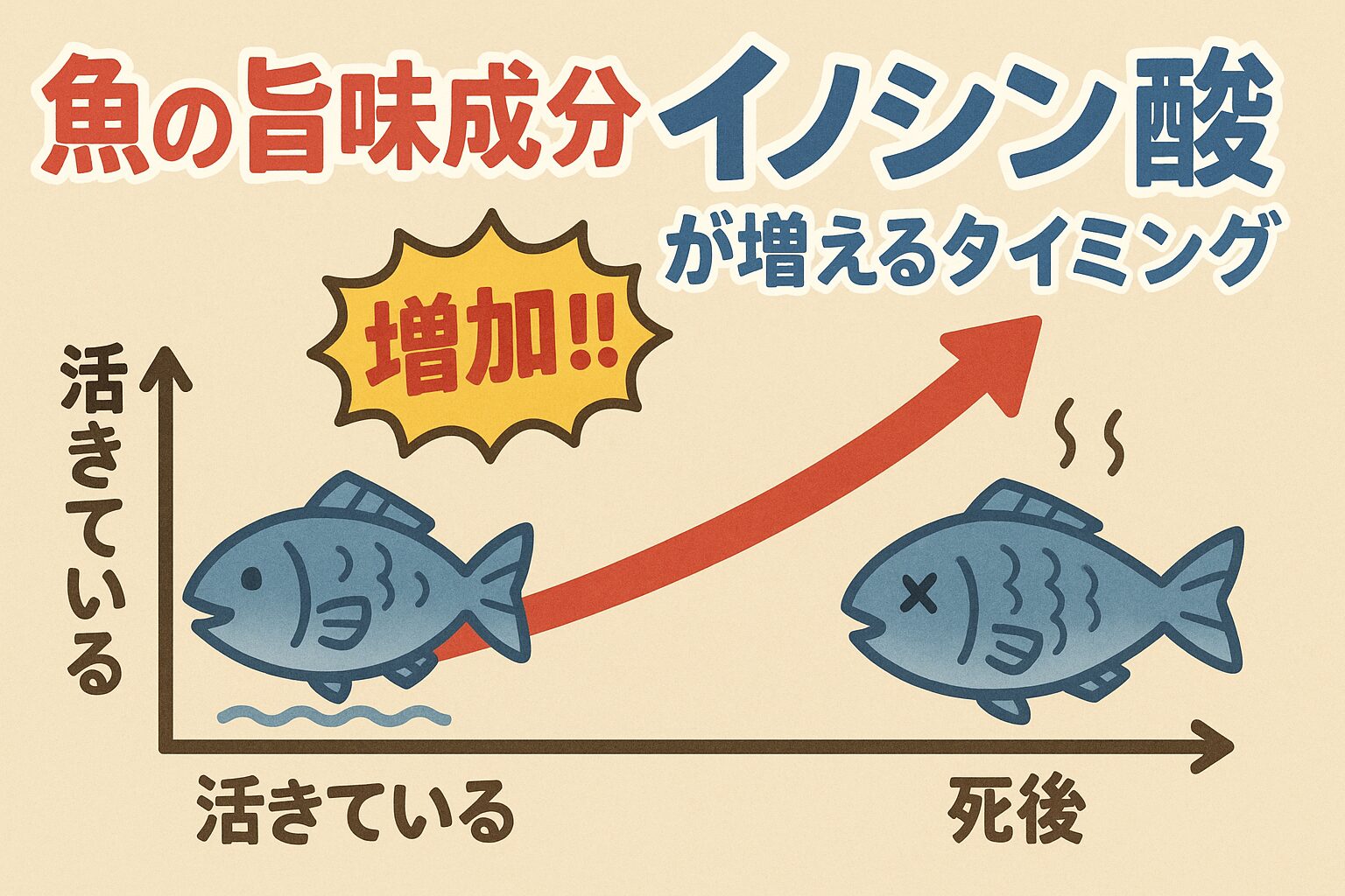魚の旨味の中心は「イノシン酸」・魚は死後にATPが分解され、12〜48時間で旨味がピークになる。白身魚は1日寝かせて、青魚はすぐ食べるのが美味しい食べ方。釣太郎