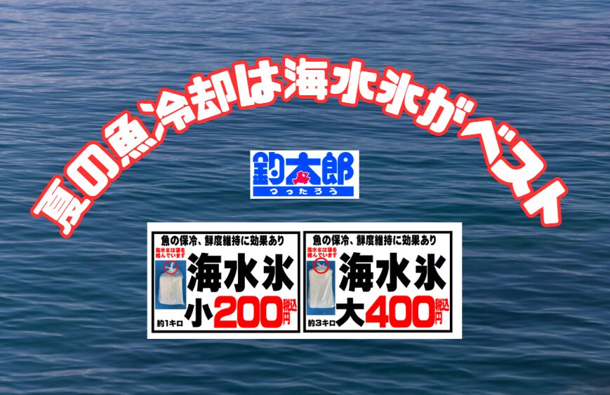 【夏の魚冷却に最適】真水氷と比べてわかる！99％リピート率の釣太郎の海水氷。釣太郎