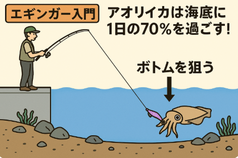 アオリイカは1日の約70%を海底で過ごす。
だからこそ、エギングで成功するにはボトム狙いが最重要です。釣太郎