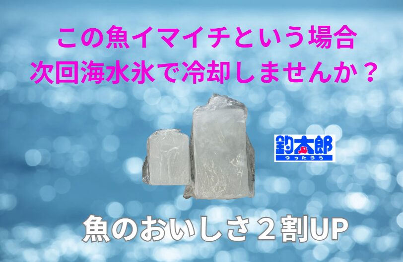海水魚は海の水で冷やした方が負担が少なく、美味しさが引き出される。
これが海水氷が“ミラクルアイス”と呼ばれる理由。釣太郎