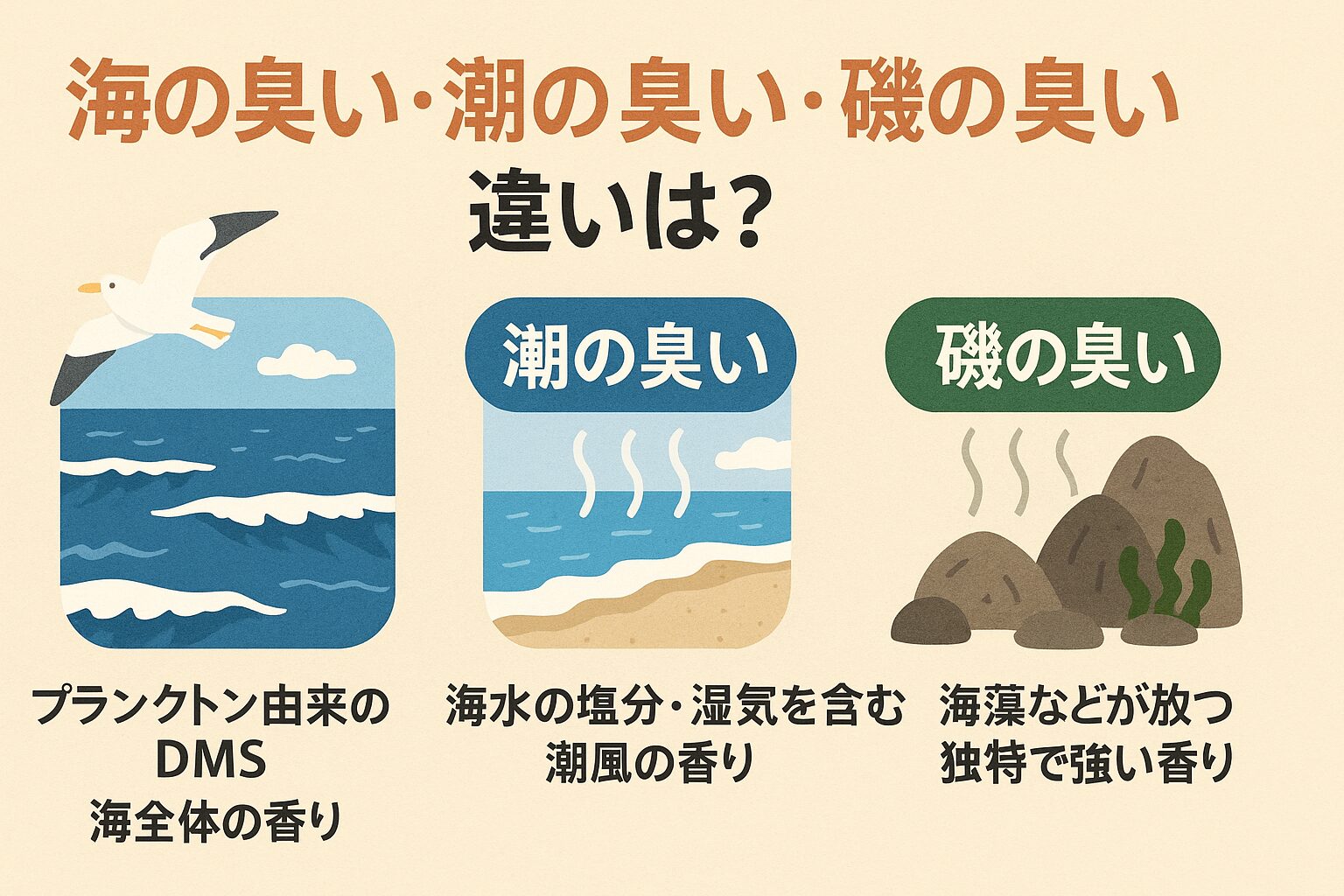 ・「海の臭い」はDMSを中心とした海全体の香り・「潮の匂い」は塩分や湿気を含んだ潮風の香り・「磯の匂い」は海藻や有機物分解による局所的で濃い匂い。釣太郎