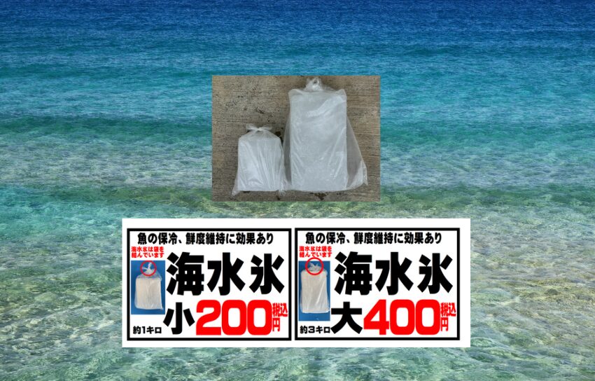 釣った魚が美味しくなる秘密は、海水を凍らせた海水氷でアオリイカも激変！うまさアップ率は最大50％。釣太郎