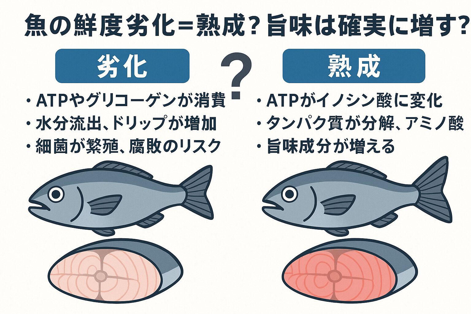 鮮度劣化と熟成は違う現象。劣化＝品質低下、熟成＝旨味成分の増加。釣太郎