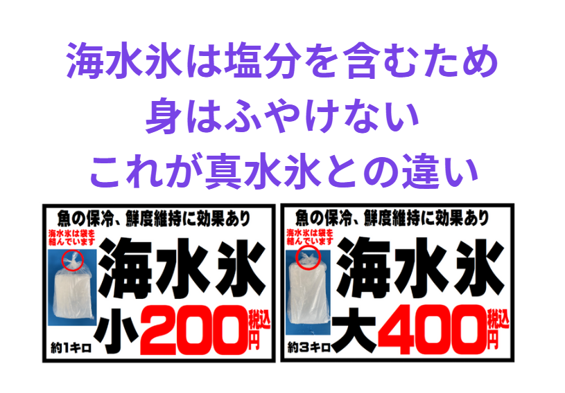 【魚冷却】真水氷 → 浸透圧の差で細胞が壊れ、水っぽくなる。旨味も流れる。海水氷 → 浸透圧が安定し、身の締まりと旨味を保持できる。釣太郎