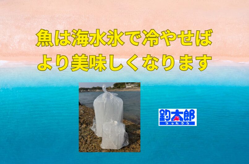 真水氷は魚にダメージを与え、鮮度・旨味を損なう・海水氷は自然環境に近く、身質・旨味を守れる。釣太郎