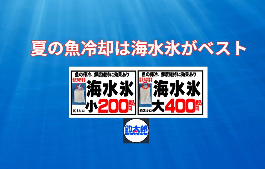 海水氷は、釣果を最高の一皿にするための投資。魚の保冷力は真水氷の3倍にもなると言われる海水氷は、単なる冷却材ではありません。釣太郎