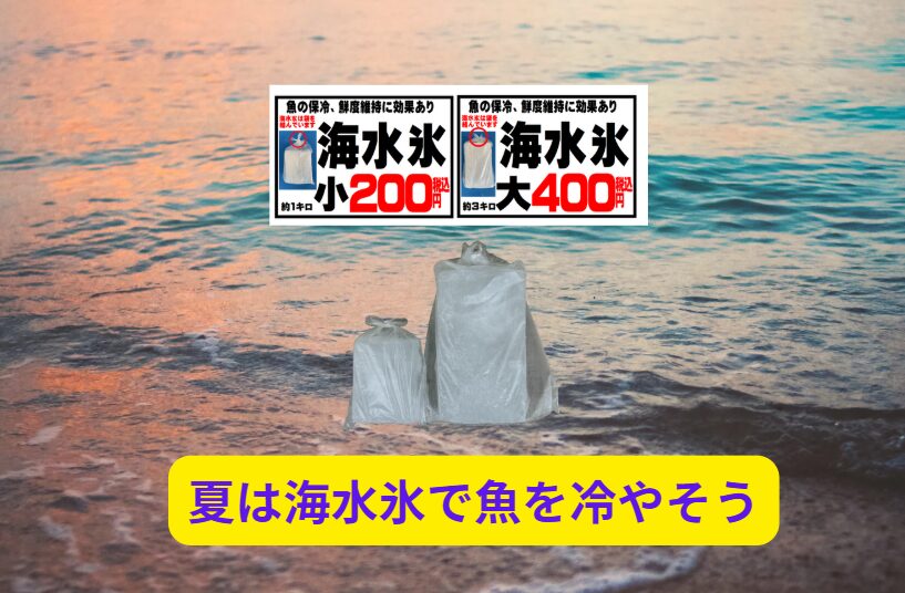 AIの解析結果からも、海水氷は真水氷より約3倍の冷却力を持ち、釣った魚の鮮度を長時間維持できることが科学的に証明されました。釣太郎