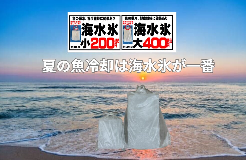 夏場の釣行で魚を美味しく持ち帰るためのポイントは、釣ったら即、締めと血抜きを行う。真水氷ではなく海水氷で急速冷却。クーラーボックスを正しく管理する。釣太郎