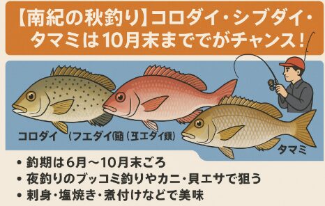 コロダイ・シブダイ・タマミはいずれも南紀地方を代表する大物ターゲット。釣期は10月末までと長いようで短い。釣太郎