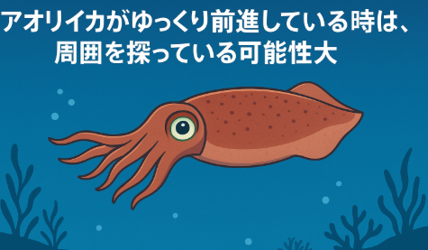 アオリイカがゆっくり前進している時は、周囲を探っている可能性大。釣太郎