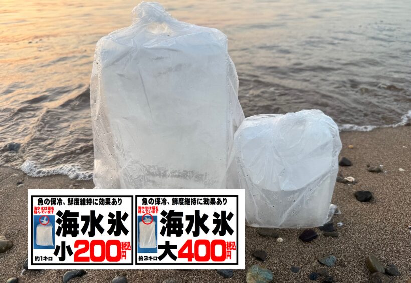 真水氷と海水氷を比較すると、魚やアオリイカの美味しさを守るには海水氷が圧倒的に有利。釣太郎
