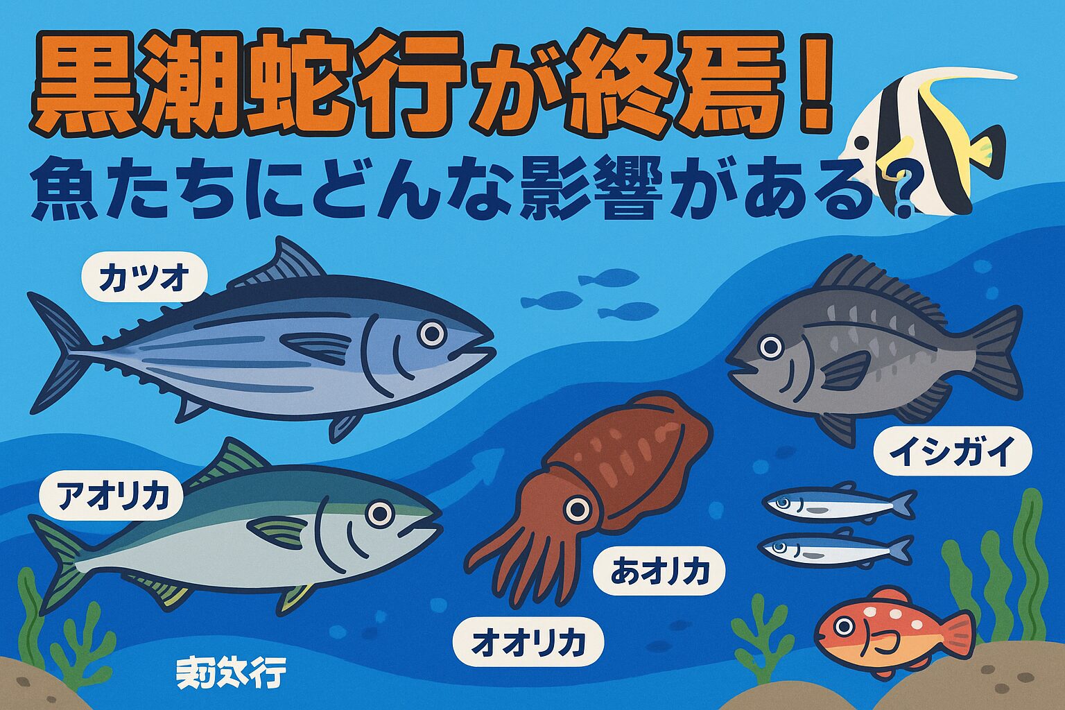 黒潮が安定してきた今こそ、和歌山の海は再び活気を取り戻しつつあります。釣太郎