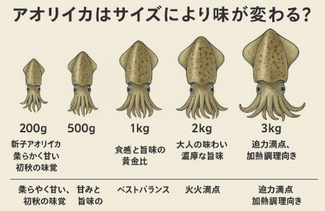 アオリイカ、200g：柔らかさと甘み、新子ならではの魅力。・500g：甘みと旨味のバランスが最高、ベストサイズ。・1kg：食感と旨味の黄金比。刺身・寿司・加熱、万能。釣太郎