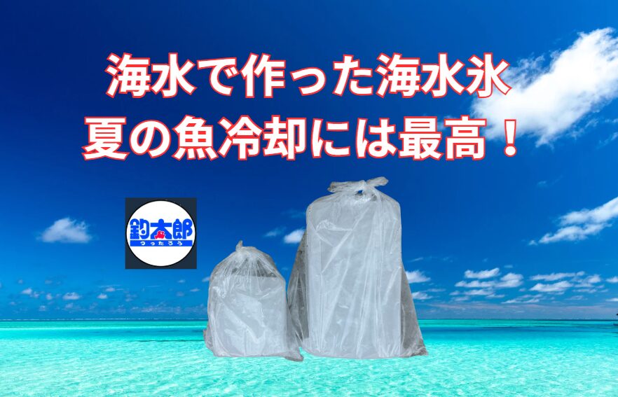 氷の選び方は、釣果以上に魚の美味しさを左右する。海水氷なら、急速冷却・雑菌抑制・魚体保護の三拍子が揃う。釣太郎