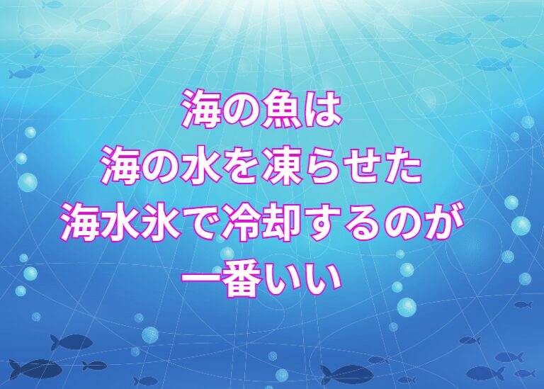 海水氷は釣り人の間で人気急上昇中。魚の鮮度保持力が高い。「発送してほしい」という要望は多数いただいているが、現状では対応不可。釣太郎