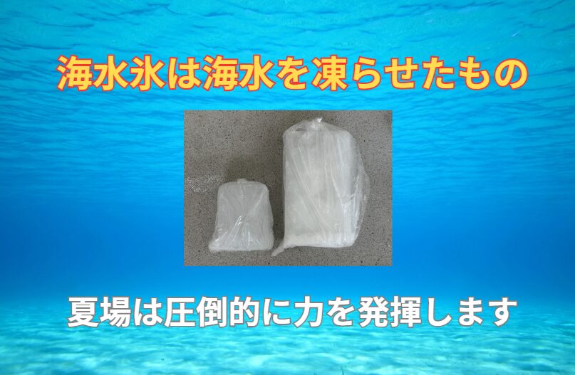 「味覚では真水氷で冷やした魚と海水氷は1.3〜1.5倍違う」と言われるのは、海水氷が魚本来の旨味と鮮度を保つからです。釣太郎