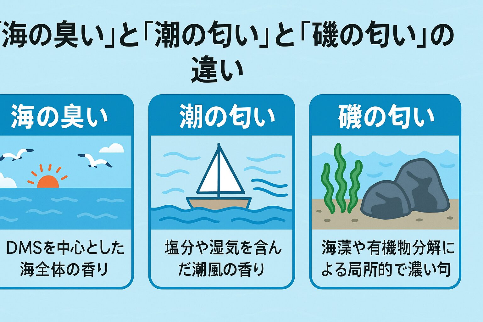 海の臭い＝DMS中心の海全体の香り。潮の匂い＝塩分・湿気を含んだ潮風の香り。 磯の匂い＝海藻や有機物分解による局所的な濃い匂い。釣太郎