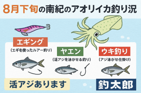 南紀の8月下旬は「夏イカの小型ラッシュ」から「秋イカシーズン」への移行期です。 エギング：小型数釣りが楽しい。ヤエン：小型中心ながら1kgクラスも期待。 ウキ釣り：初心者やファミリーに最適。釣太郎