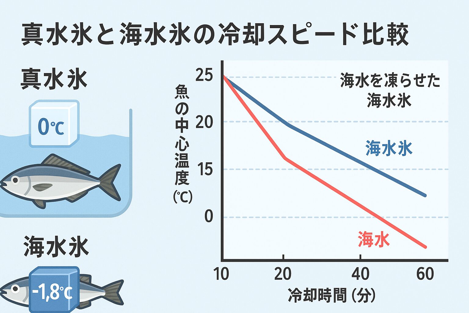 真水氷よりも、海水を凍らせた海水氷を使うことで急速冷却が可能
・中心温度を下げるスピードが早く、鮮度と旨味を保てる
・AIシミュレーションでは、最大で約2倍の冷却効率が確認された。釣太郎