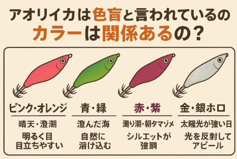 アオリイカは色を識別できない「色盲」だが、光の反射や明暗差を敏感に感じ取る・エギの色は「環境とのコントラスト」を作るために重要。釣太郎