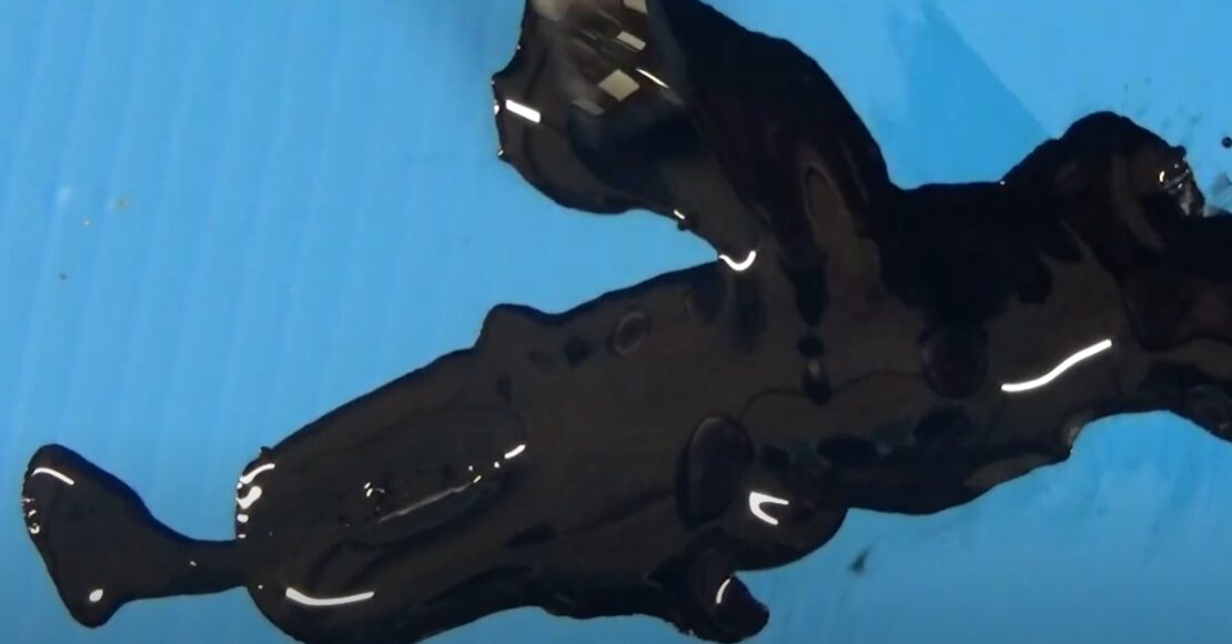 イカ墨は非常に傷みやすく、冷蔵なら2日以内、冷凍なら1〜2か月が保存目安。釣太郎