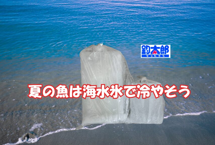 釣り魚は海水氷を使うことで美味しさが最大20％アップする可能性があります。釣太郎