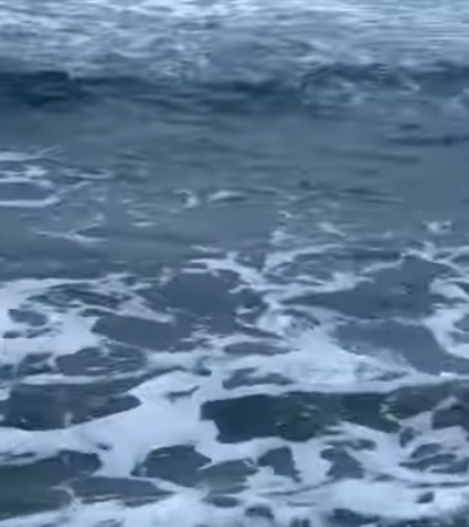 荒れた海に惹かれる理由は、単に景色が美しいからではありません。 そこにはマイナスイオンによるリラックス効果、波音の1/fゆらぎ、自然の力を感じる崇高体験、視覚的刺激、原始的記憶といった複数の要因が複雑に絡み合っています。釣太郎