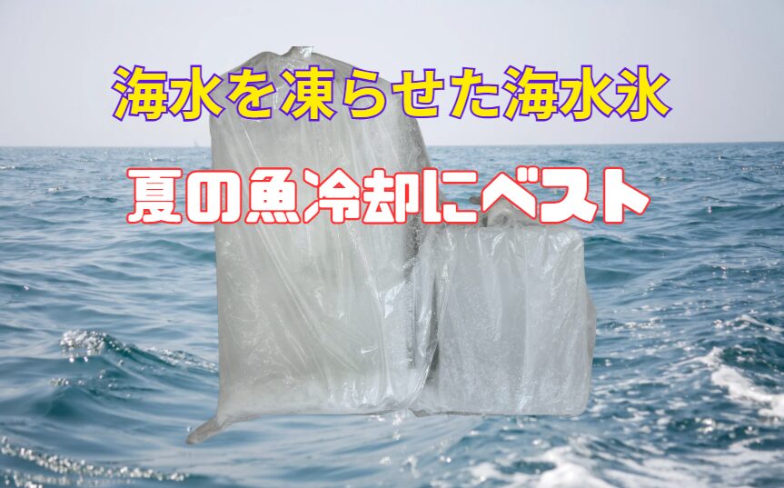 海水氷は“ただの氷”ではなく科学的に価値がある。AI解析の結果、海水氷は・急速冷却性能
・旨味保持率
・低温持続力
・安全性の向上
これらすべてで普通氷を上回り、釣り人が話題にするのも当然の結果と言えます。釣太郎