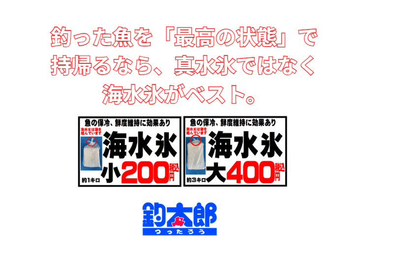 釣った魚を「最高の状態」で持ち帰りたいなら、真水氷ではなく海水氷を使うのがベスト。釣太郎